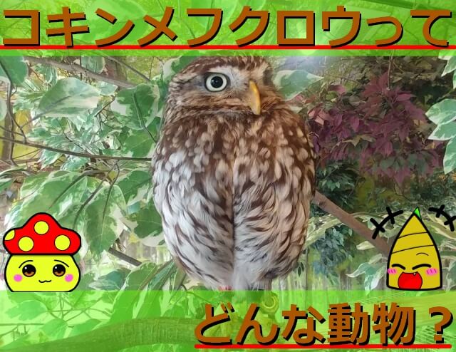 Thumbnail of post image 185